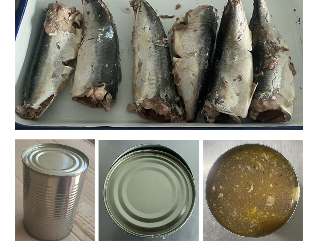 Canned Mackerel in Brine